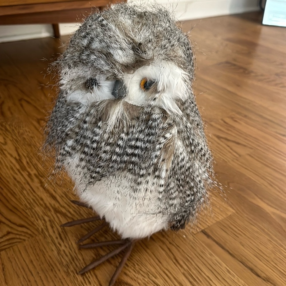 Owl Decor